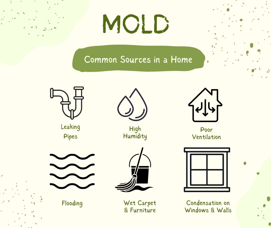 Mold: Common Sources in a Home